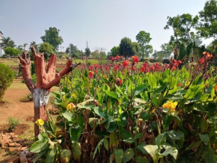 Saputara Rose Garden Landscape Image